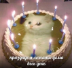 IMG_5955.png