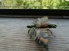 IMG_20200607_161735.jpg