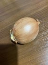 IMG_6065.jpeg
