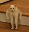 IMG_6153.jpeg
