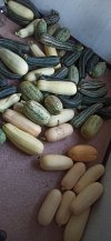 IMG_20240827_193605.jpg