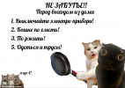 IMG_6205.png