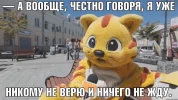12.webp