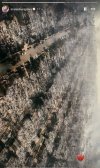 IMG_6269.jpeg