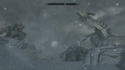 IMG_7022.jpeg