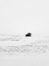 IMG_9949.jpeg