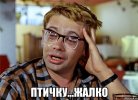 IMG_6369.jpeg IMG_6369.jpeg