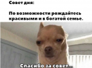 2025-01-15_08-10-21.png