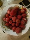 IMG20250119220358.jpg