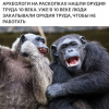 IMG_6523.png