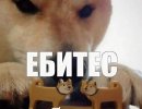 Screenshot_2025-01-05-19-12-25-24_40deb401b9ffe8e1df2f1cc5ba480b12.jpg