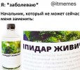 IMG_7138.jpeg