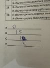 IMG_7150.jpeg