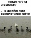 IMG_20250128_004034_890.jpg