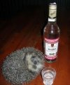 IMG_5242.jpeg