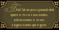 IMG_20250131_083815.jpg