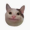 st,small,507x507-pad,600x600,f8f8f8.u1.jpg