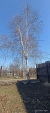 IMG_20250323_094312.jpg