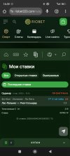 Screenshot_2025-04-06-16-39-51-340_com.android.chrome.jpg