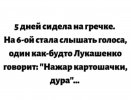 IMG_20250417_163417_287.jpg