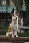 IMG_8775.jpeg