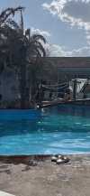 IMG_8608.jpeg