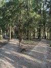 IMG_6201.jpeg