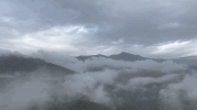 1745225109734.gif