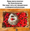 IMG_0403.png