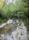 IMG_0825.jpeg