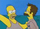 IMG_8873.gif