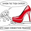 IMG_8956.jpeg