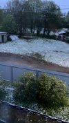 9402C228-72D8-46D2-9F4D-22889D71FE87.jpeg