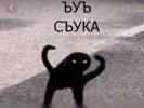 IMG_9014.jpeg