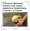 IMG_0782.png IMG_0782.png