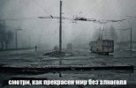 IMG_9023.jpeg