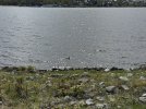 IMG_9051.jpeg