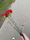 IMG_9182.jpeg