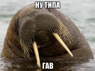IMG_9223.jpeg