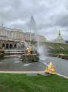 IMG_6811.jpeg