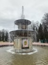IMG_6815.jpeg