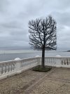 IMG_6820.jpeg
