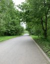 IMG_7409.jpeg