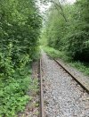 IMG_7414.jpeg