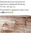 IMG_7425.jpeg