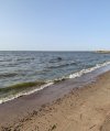 IMG_7440.jpeg