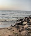 IMG_7445.jpeg