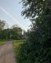 IMG_7450.jpeg