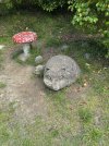 IMG_0713.jpeg