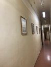 IMG_7602.jpeg IMG_7602.jpeg